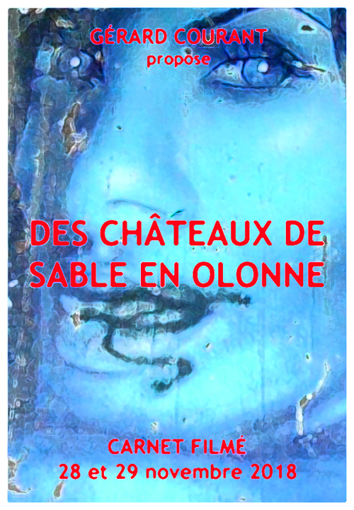 image du film DES CHTEAUX DE SABLE EN OLONNE (CARNET FILM : 28 novembre et 29 novembre 2018).