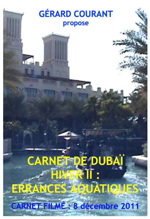 image du film CARNET DE DUBA HIVER II : ERRANCES AQUATIQUES (CARNET FILM : 8 dcembre 2011).