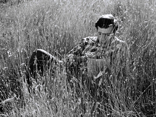 image du film COMPRESSION IL TAIT UNE FOIS UN MERLE CHANTEUR DE OTAR IOSSELIANI.