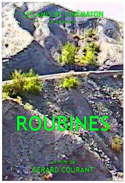 image du film ROUBINES.