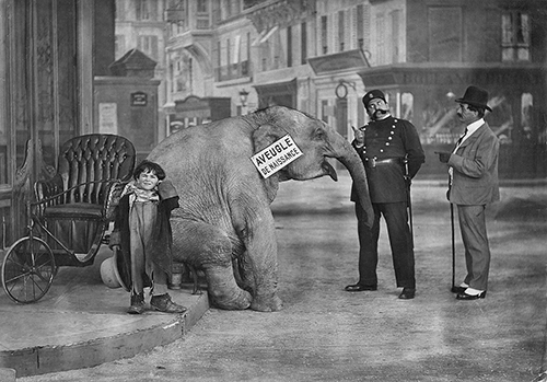 image du film COMPRESSION BOUT DE ZAN VOLE UN LPHANT DE LOUIS FEUILLADE.