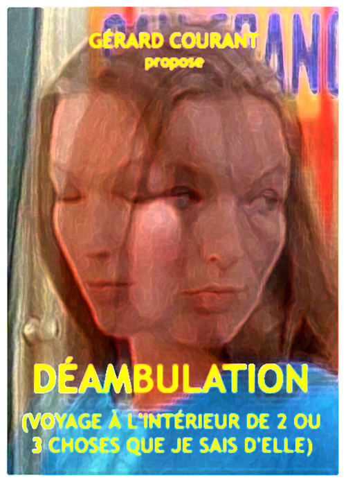 image du film DAMBULATION (VOYAGE  L'INTRIEUR DE 2 OU 3 CHOSES QUE JE SAIS D'ELLE).