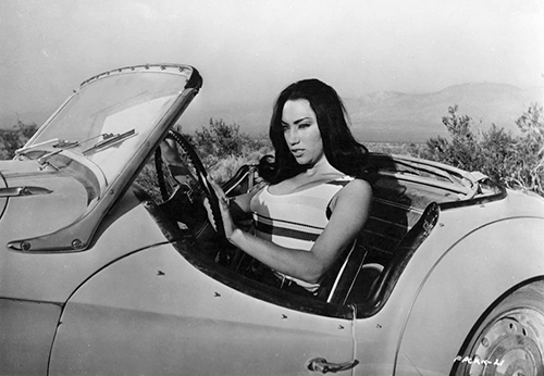 image du film COMPRESSION FASTER, PUSSYCAT! KILL! KILL! DE RUSS MEYER.