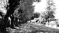 image du film.