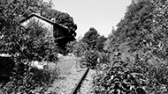 image du film.